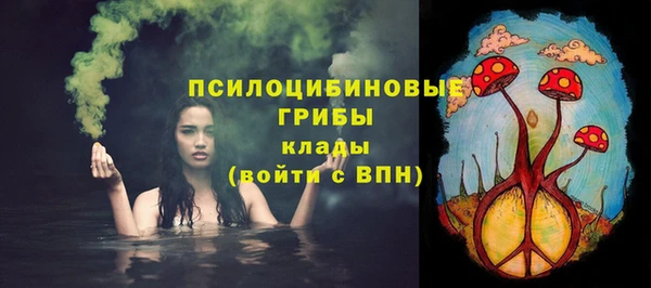 apvp Каменка