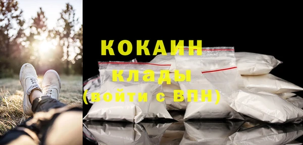 apvp Каменка