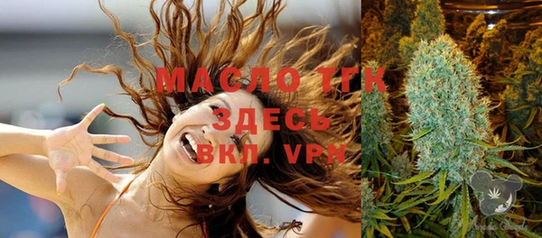 apvp Каменка