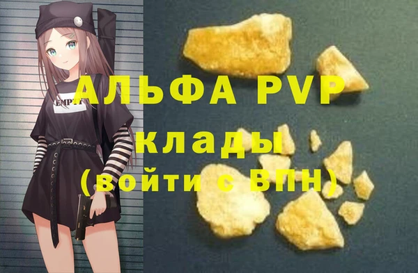 apvp Каменка