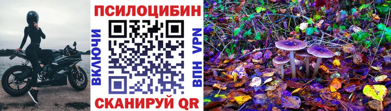 Купить где  Вытегра  Псилоцибиновые грибы мицелий 